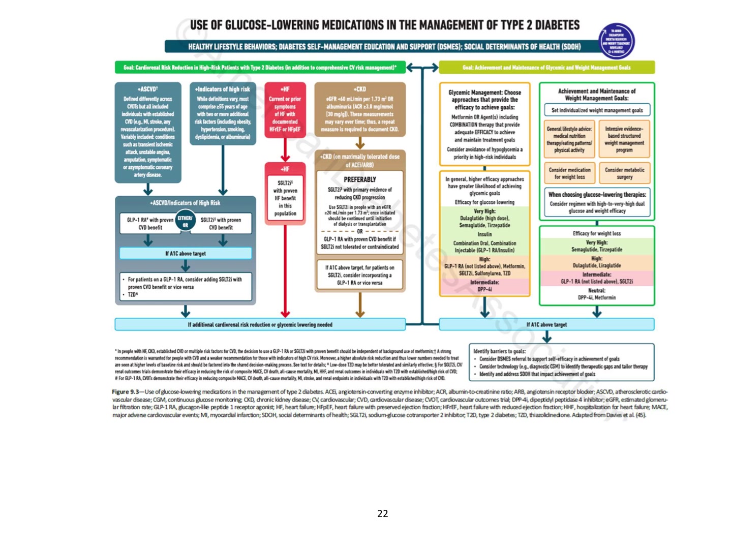 ADA Algorithm Type 2 DM